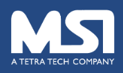 Open project internship position at Management Systems International (MSI)